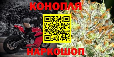 ПСИЛОЦИБИНОВЫЕ ГРИБЫ Коммунар