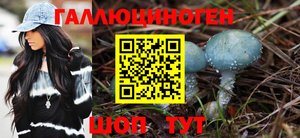 Красноармейск  Псилоцибиновые грибы мицелий  Вход с VPN 