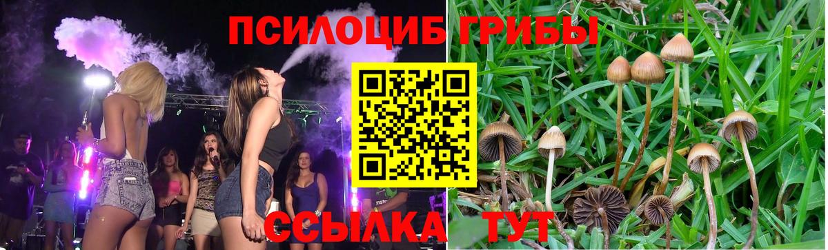 Галлюциногенные грибы GOLDEN TEACHER Красноармейск
